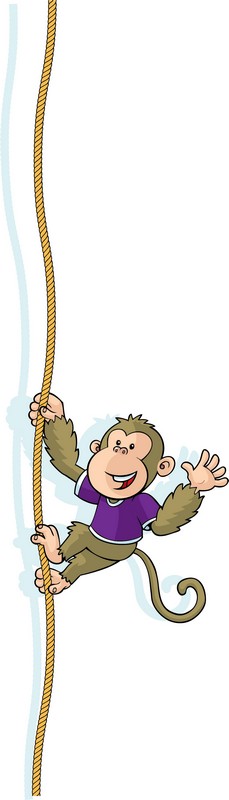 Young-Learners-Monkey-Climbing-Rope-800-redim-6160b2bb3037e.jpg